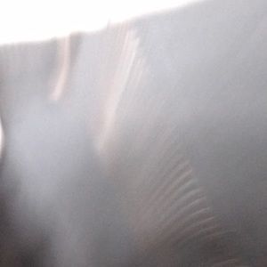 Meet your Posher, Sheila